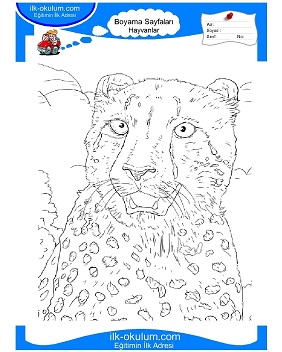 Çocuklar İçin Çita Boyama Sayfaları 
